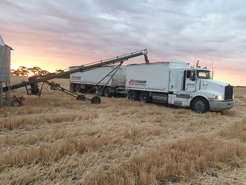 Creaser Haulage and Bobcat can deliver your grain to your preferred Buyer.